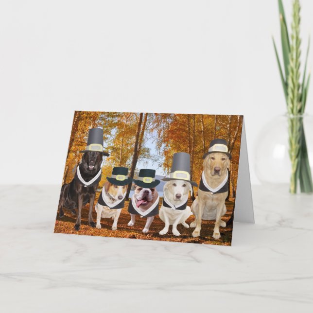 Customizable Funny Dog Pilgrims Thanksgiving Card (Front)