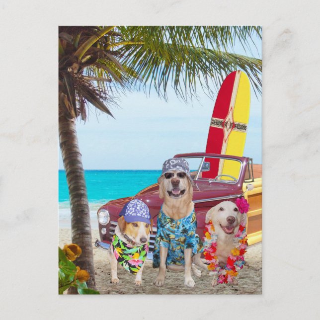 Customizable Funny Dogs/Labs on the Beach Postcard (Front)