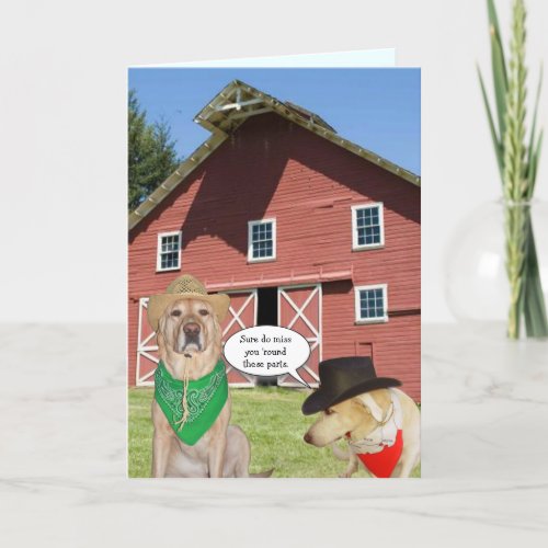Customizable Funny Dogs We Miss You Card