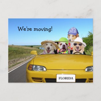 Customizable Funny Dogs We're Moving Announcement Postcard by myrtieshuman at Zazzle