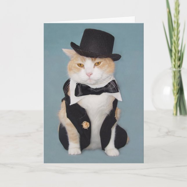 Customizable Funny Formal Cat/Kitty Card (Front)