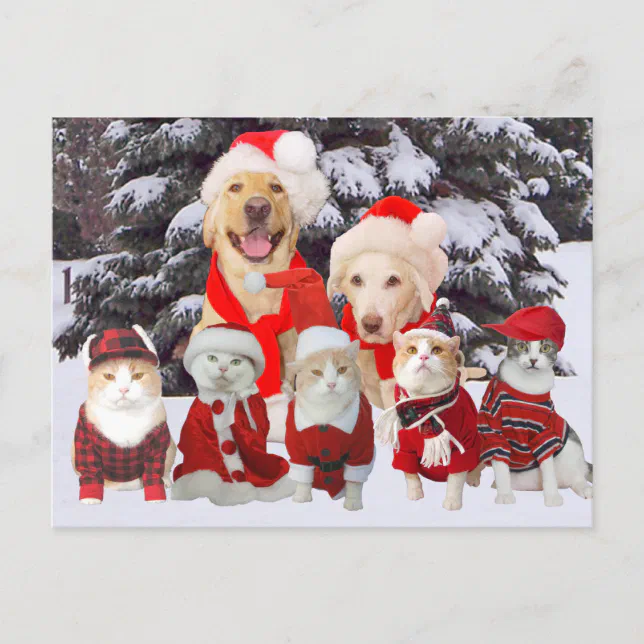 Customizable Funny Pet Christmas Post Card | Zazzle