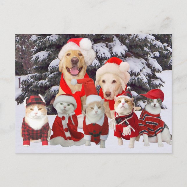 Customizable Funny Pet Christmas Post Card (Front)