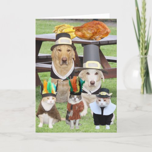 Customizable Funny Pet Thanksgiving Holiday Card