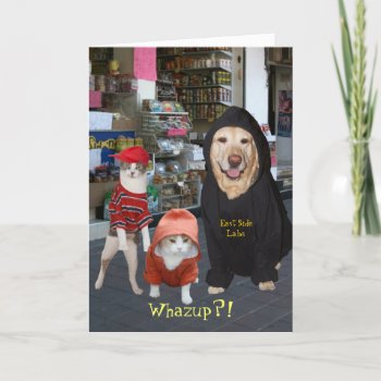 Customizable Funny Pets/cats/dog Whazup Birthday Card by myrtieshuman at Zazzle