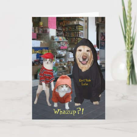Customizable Funny Pets/cats/dog Whazup Birthday Card