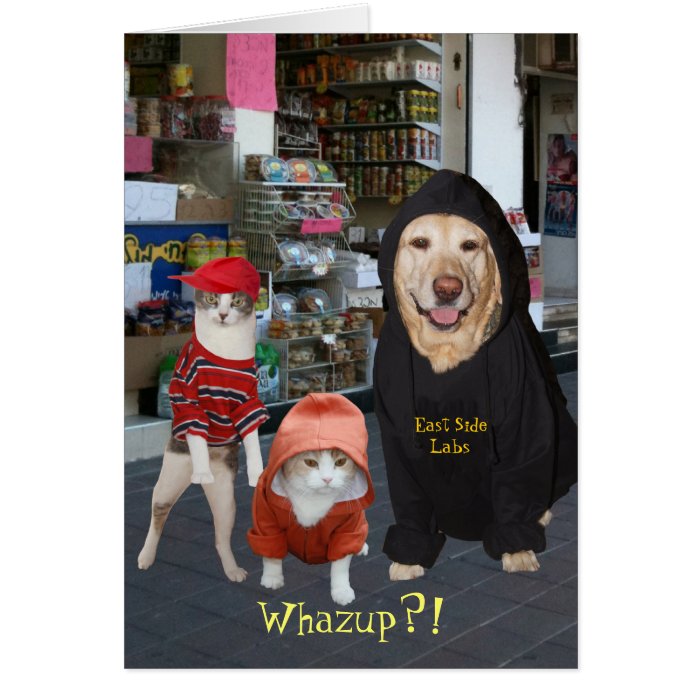 Customizable Funny Pets/Cats/Dog Whazup Birthday Greeting Card