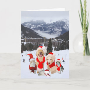 Customizable Funny Pets in Alps Holiday Card