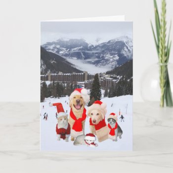 Customizable Funny Pets In Alps Holiday Card by myrtieshuman at Zazzle