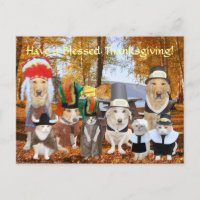 Customizable Funny Pets Pilgrims and Indians
