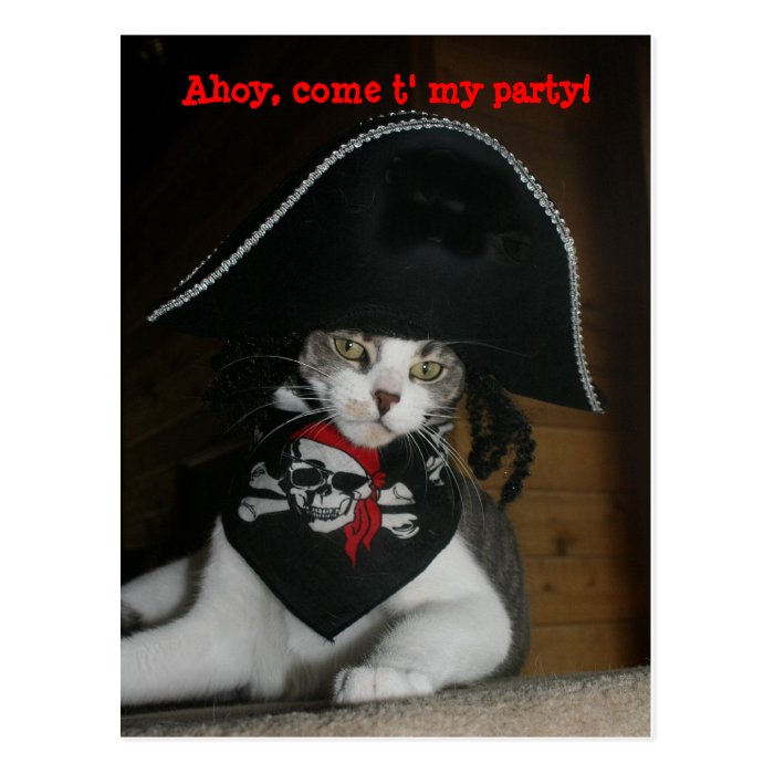 Customizable Funny Pirate Cat Post Card