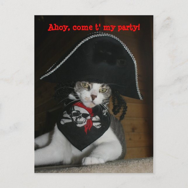 Customizable Funny Pirate Cat Postcard (Front)
