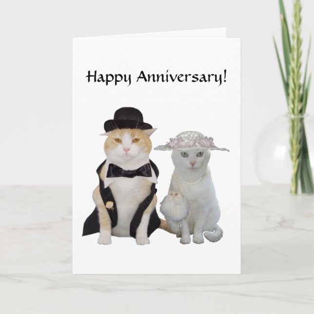 Customizable Funny,Pretty Cats/Kitties Anniversary Card (Front)