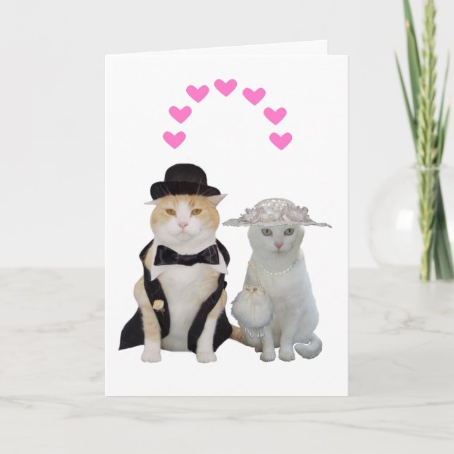 Customizable Funny, Pretty Cats Valentine Holiday Card (Front)