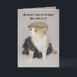 Customizable Funny Scottish Fold Scottish Birthday Card<br><div class="desc">Bubba Kitty in his kilt.  He's from the SPCA in 2000.  He's mostly Scottish Fold,  just not the folded ears,  but he makes up for it with his kilt.  You can customize the text.  I hope it's funny.  I referred to some sites with Scottish phrases.</div>