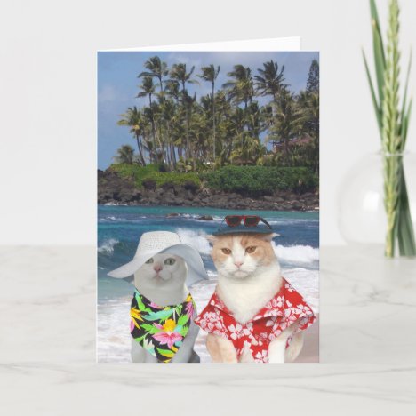 Customizable Funny Surfer Cats/Kitties Anniversary Card