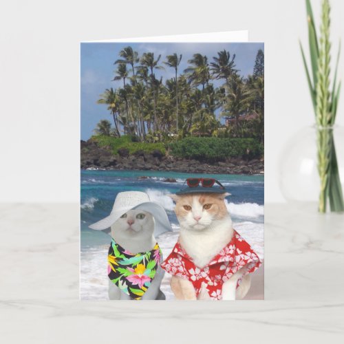 Customizable Funny Surfer CatsKitties Anniversary Card