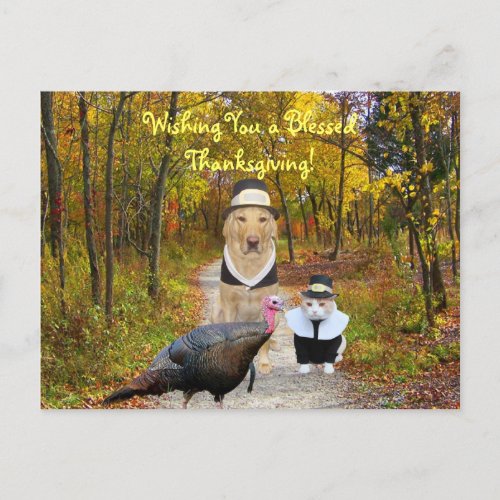 Customizable Funny Thanksgiving Postcard