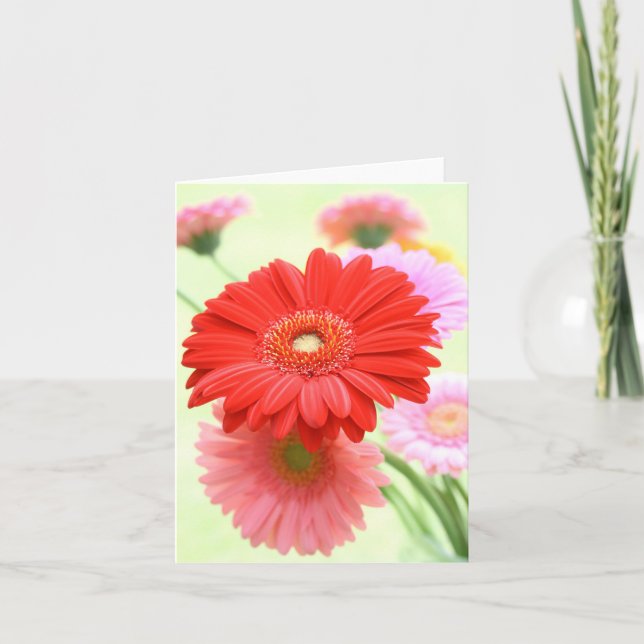 Customizable Gerber Daisies Card (Front)