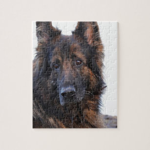 German Shepherd Jigsaw Puzzles | Zazzle