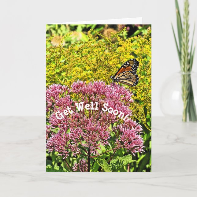 CUSTOMIZABLE GET WELL CARD/BUTTERFLY ON FLOWER CARD (Front)