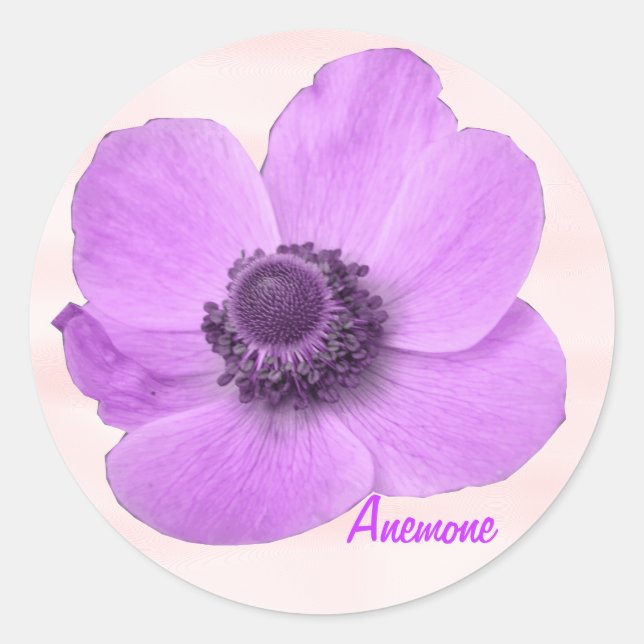 Customizable Girly Pink Anemone Sticker (Front)