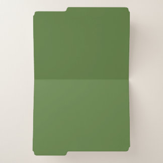 Customizable Green Checkered Teacher File Folders