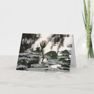 Customizable Greeting Card: Water Lily Photograph Thank You Card