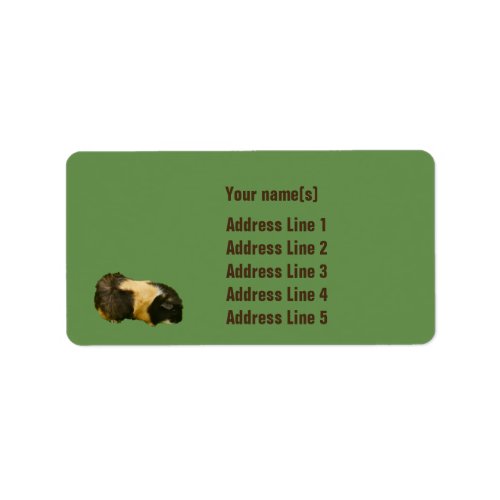 Customizable Guinea Pig Address Labels