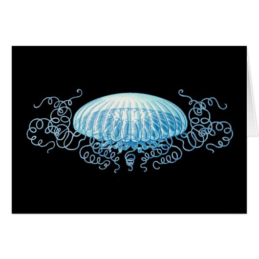 Customizable Haeckel Jellyfish Cards (Front Horizontal)