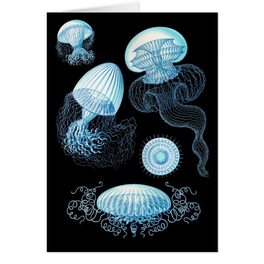 Customizable Haeckel Jellyfish Cards (Front)