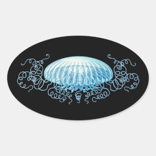 Customizable Haeckel Jellyfish Oval Sticker