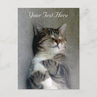 Customizable Happy Cat Post Card