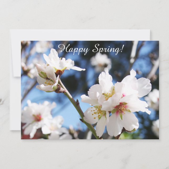 Customizable Happy Spring Card  (Front)