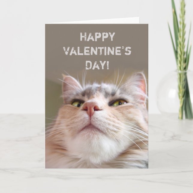 Customizable Happy Valentine's Day Holiday Card (Front)