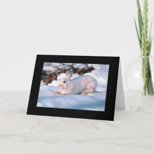 Customizable Holiday Card White Bunny