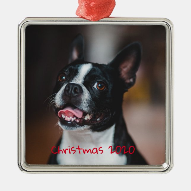 Customizable Holiday Family Pet Dog Metal Ornament (Front)