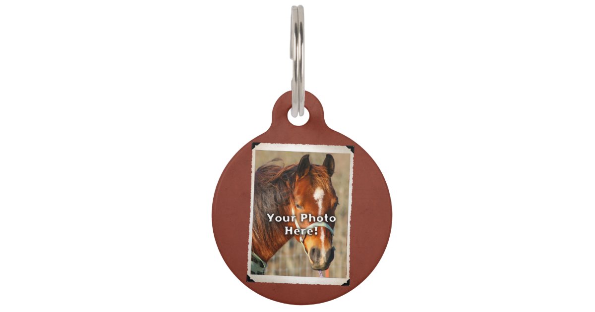 Customizable Horse Tack or Blanket Tag Zazzle