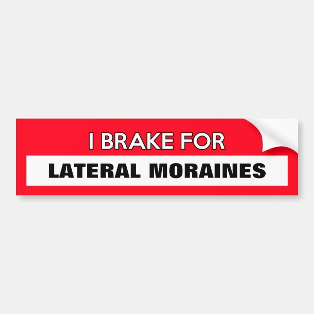 Customizable "I Brake For..." Bumper Sticker (Front)