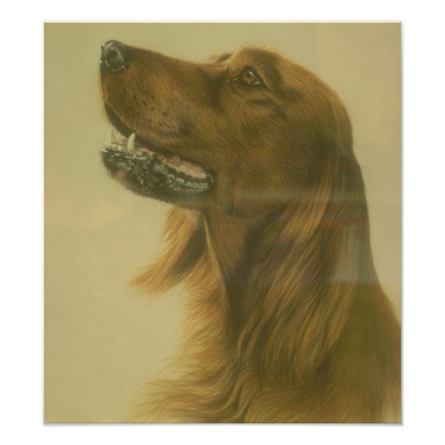 Customizable Irish Setter Art Poster (Front)