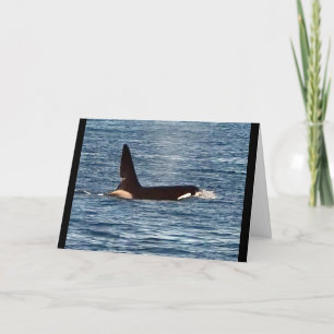 Customizable John Coe Killer Whale West Coast Orca Card