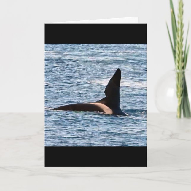 Customizable John Coe Killer Whale West Coast Orca Card (Front)
