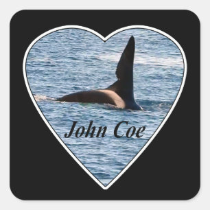 Customizable John Coe Orca Killer Whale  Square Sticker