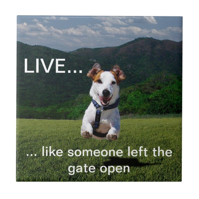 Customizable "Live Like Someone..." Tile (Front)