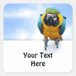 Customizable Macaw Square Sticker