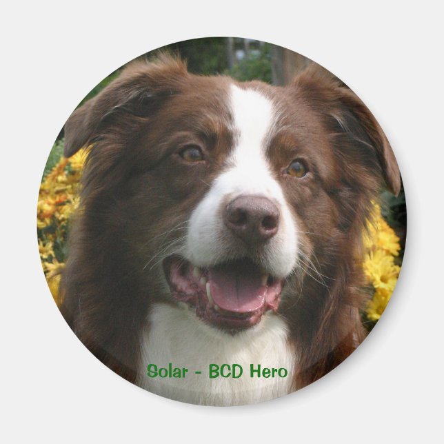 Customizable Magnet (Front)