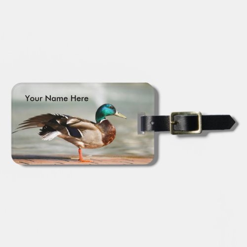 Customizable Male Mallard Duck Luggage Tag