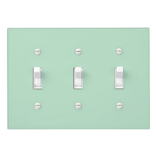 Customizable Mint Green Light Switch Cover (In Situ)