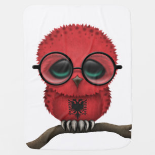 Customizable Nerdy Albanian Baby Owl Chic Receiving Blanket