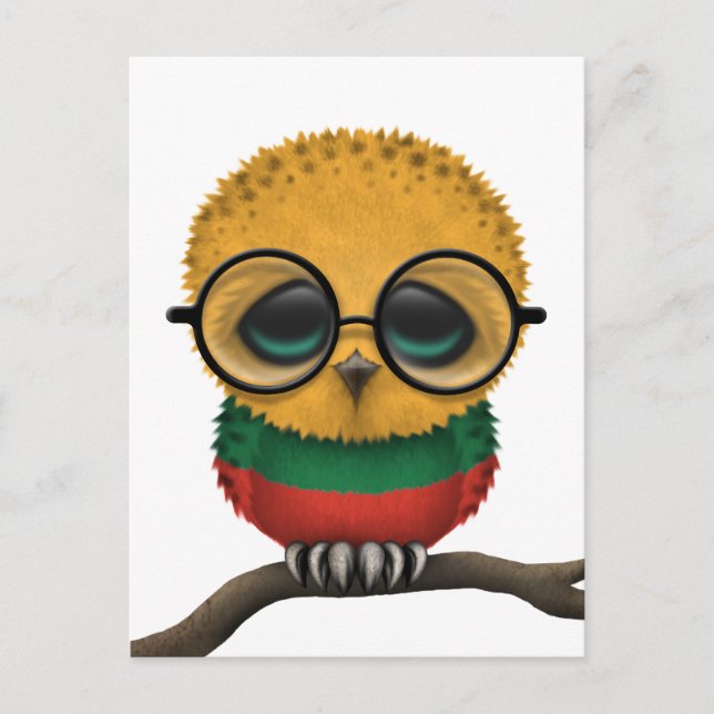 Customizable Nerdy Lithuanian Baby Owl Chic Postcard (Front)